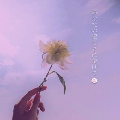 妖怪记录游戏