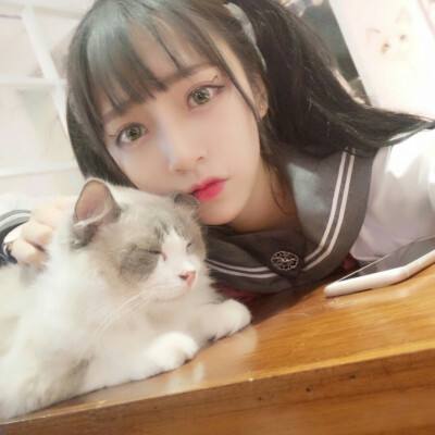 篮球总经理2k20手游下载